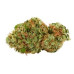 AK-47 Regular Strain