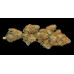 Hindu Kush Regular Seeds