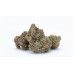 Jack Herer Regular Strain